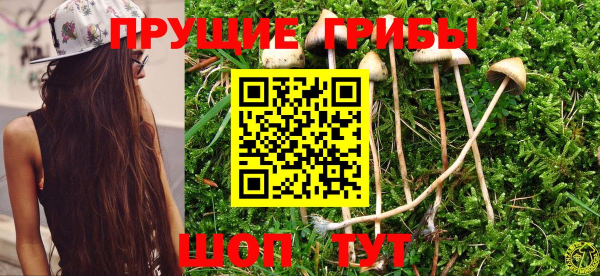Галлюциногенные грибы GOLDEN TEACHER Сорочинск